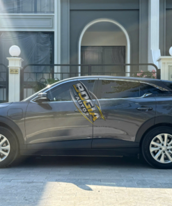 Vinfast-VF6S-2024-ben