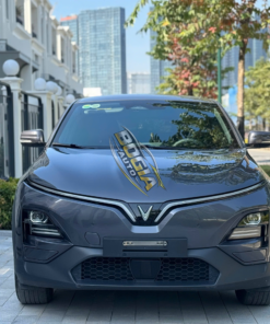 Vinfast-Vf6s-2024-truoc